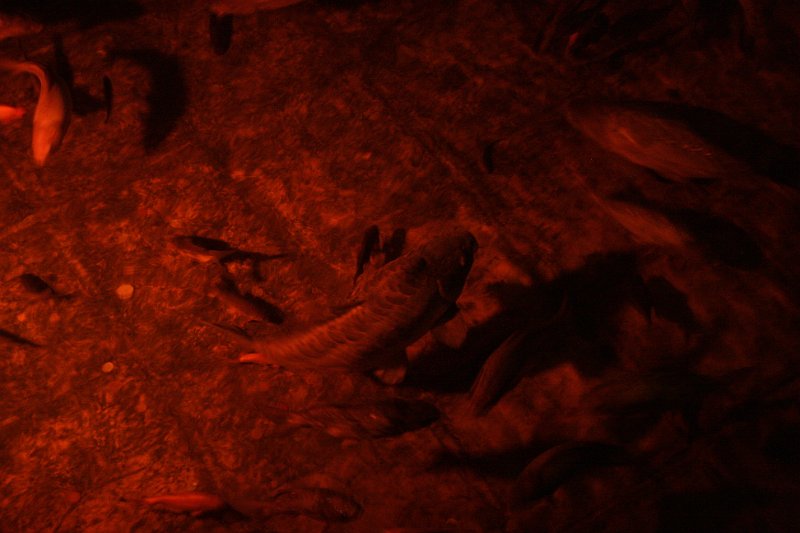 Istanbul Ooglaseren 2010 - 070